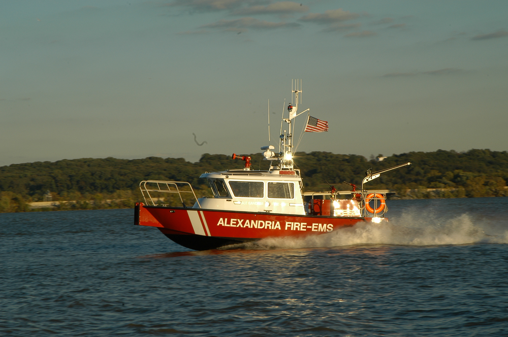 1153490986182 10650843