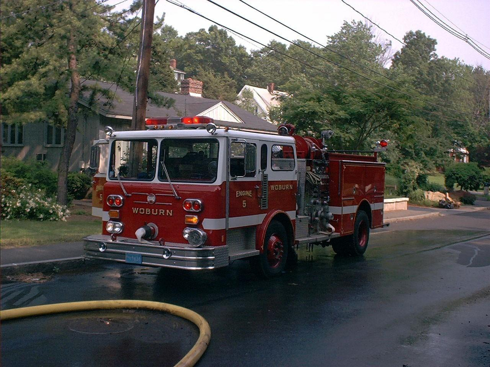 1170556884636 10646003