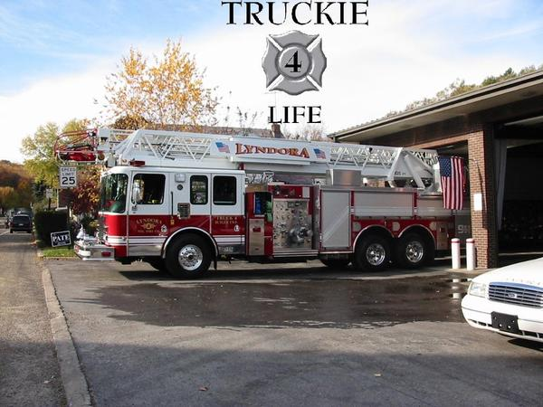 1173486162637 10641676