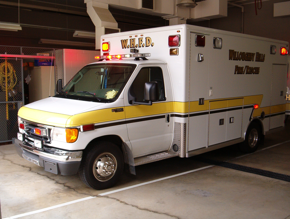 1183919041710 10646309