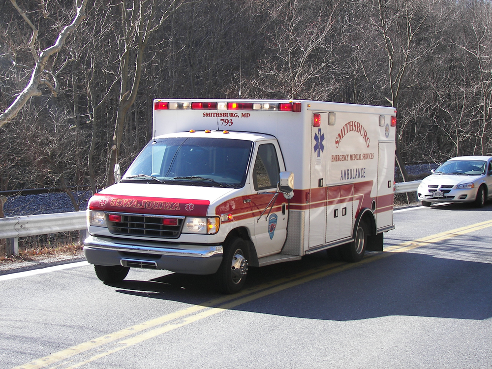 1192127414792 10644991