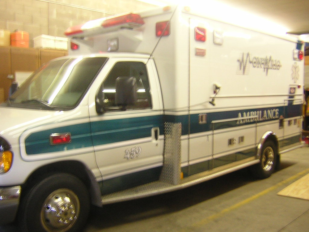 1210114666807 10651730