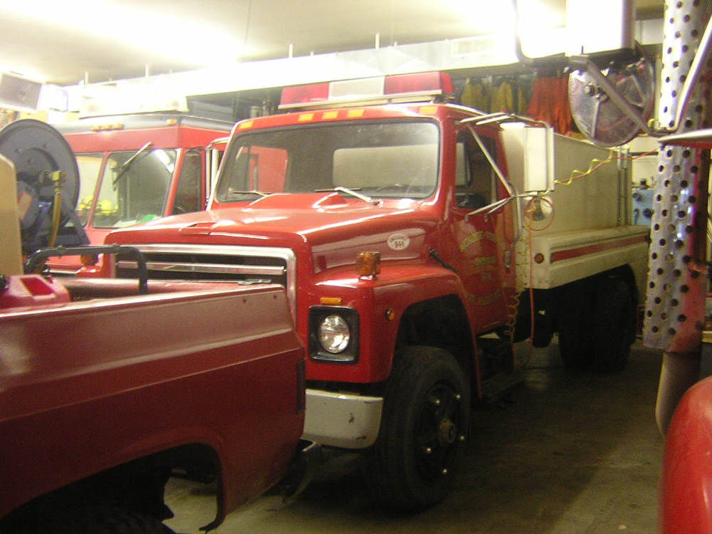 1210114808882 10651736