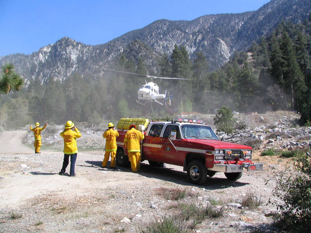 1238107100929 10643530