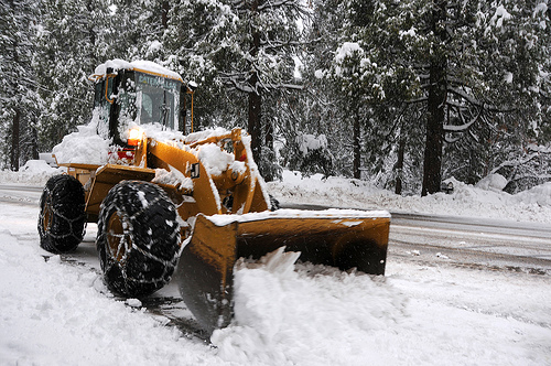 1238184133545 10643528