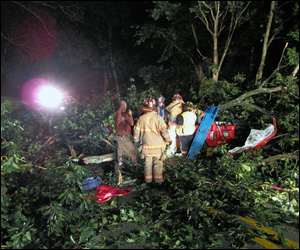 082709patree 10564514