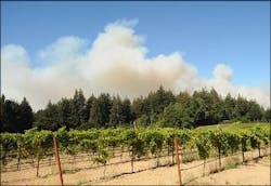Smoke from the Lockheed fire billows over a vineyard in the Bonny Doon area of Santa Cruz County, Calif., on Aug. 13.