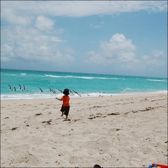 Mario Trevino's son, 3-year-old Sergio Vicente Trevino.