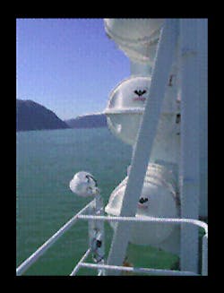 Tank jpg 10468573 Tank jpg 10468573