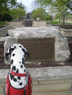 26368 10459825 26368 10459825