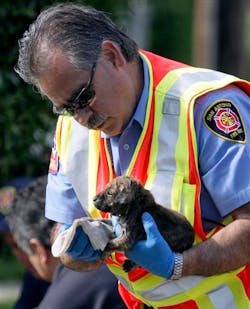 San Antonio firefighter EMS Lt. Roger Fuentes examines a rescued puppy Tuesday, April 20, 2010.