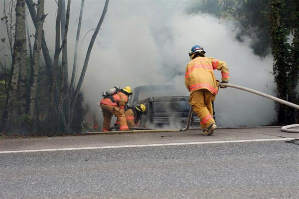 I99682wg jpg 10563026