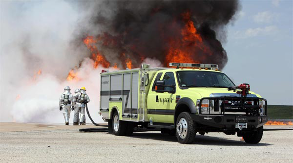 Stinger jpg 10468194