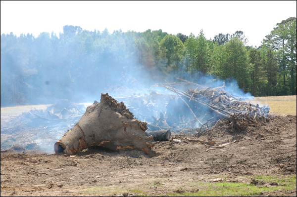 Edgecombe1 jpg 10562957