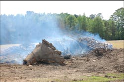 Edgecombe1 jpg 10562957 Edgecombe1 jpg 10562957