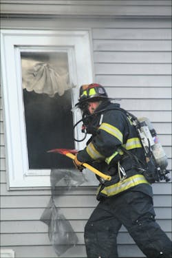 Cats1 jpg 10562732 Cats1 jpg 10562732