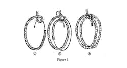 Figure 10466472 Figure 10466472