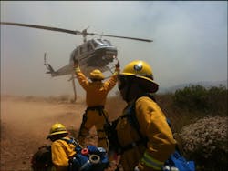 Veg 10562701 Veg 10562701