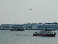 Duck 10562428 Duck 10562428