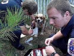 Md 10562408 Md 10562408