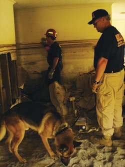 Interior search conditions in the Lower 9th Ward. Interior search conditions in the Lower 9th Ward.