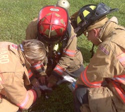 Cat1 jpg 10561204 Cat1 jpg 10561204