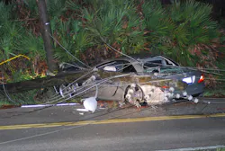 Mva1 10561885 Mva1 10561885
