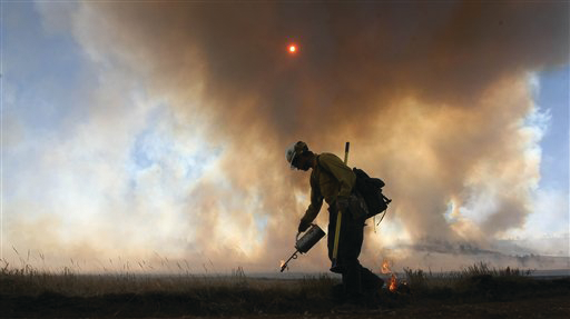 A Silver City hotshot starts a backfire along a rural road in Roger's Canyon, 10 miles northeast of Laramie, Wyo.