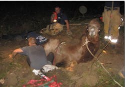 Clackamas firefighters worked for hours to free a camel trapped in a sinkhole outside of Portland.
