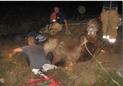 Clackamas firefighters worked for hours to free a camel trapped in a sinkhole outside of Portland. Clackamas firefighters worked for hours to free a camel trapped in a sinkhole outside of Portland.