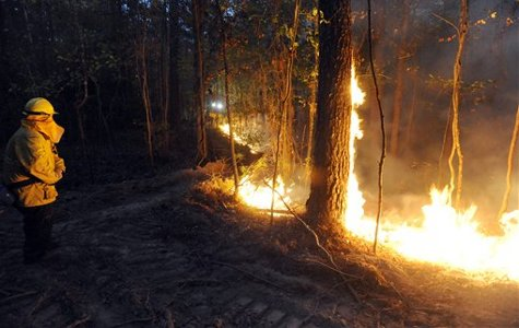 Firefighter Wesley Crum works a section of a Madison County fire encompassing in Camden, Miss.