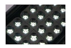 Pelican6 jpg 10466237 Pelican6 jpg 10466237