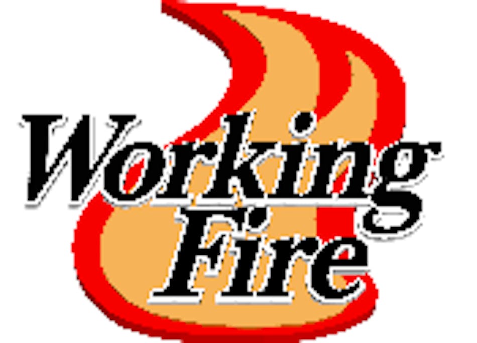Working Fire Logo 3d V175 W