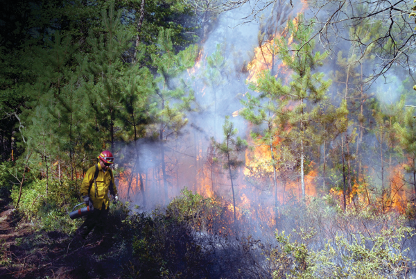 Backfiring operations were conducted to prevent the fire from extending across a road. There were no homes in the area that would be threatened.