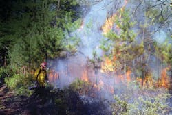 Backfiring operations were conducted to prevent the fire from extending across a road. There were no homes in the area that would be threatened. Backfiring operations were conducted to prevent the fire from extending across a road. There were no homes in the area that would be threatened.