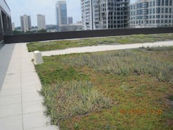 Figure 2: Metropolitan fire departments may have already encountered green roofs as many high-rise buildings have this type of roof. Figure 2: Metropolitan fire departments may have already encountered green roofs as many high-rise buildings have this type of roof.