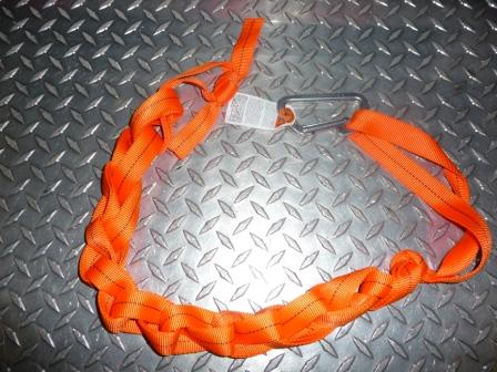 P1010395jpg 10208909