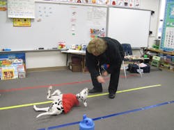 Img 10459624 Img 10459624