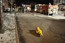 Extrication6 jpg 10556876 Extrication6 jpg 10556876