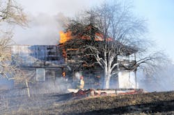 Brush7 jpg 10555194 Brush7 jpg 10555194