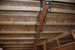 Dsc 10459593 Dsc 10459593