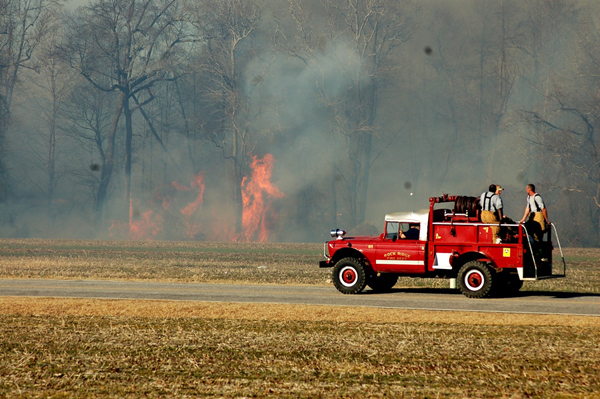 Nc Brush7 jpg 10554511