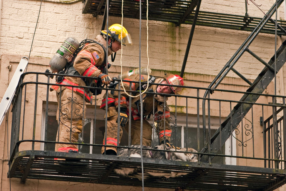 Oregon Fire2 jpg 10463868