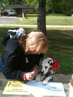 207914 10459530 207914 10459530