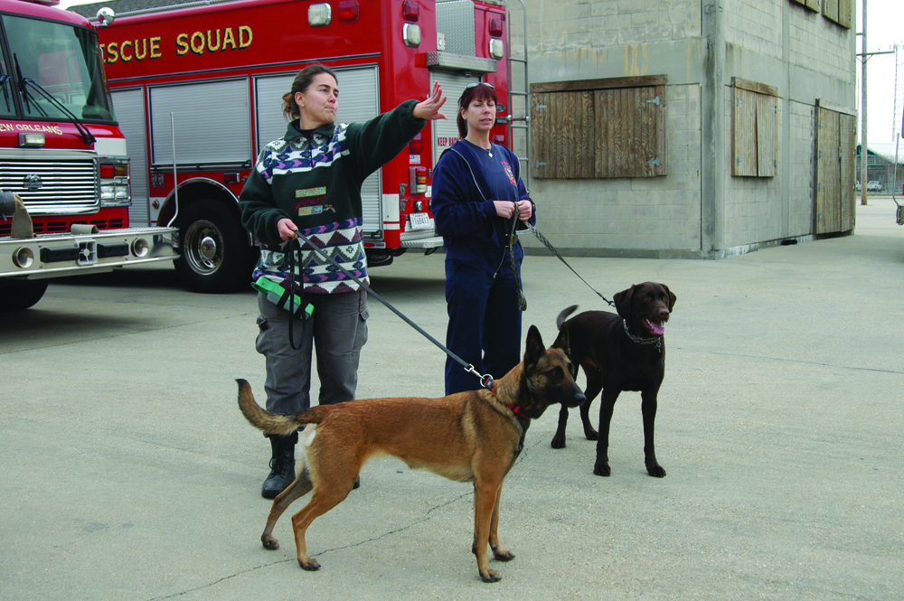 Denise Liset, left, and Nola from Louisiana Search and Rescue prepare for a training exercise with Captain Linda Pailet and Gator from the New Orleans Fire Department.