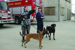 Denise Liset, left, and Nola from Louisiana Search and Rescue prepare for a training exercise with Captain Linda Pailet and Gator from the New Orleans Fire Department.