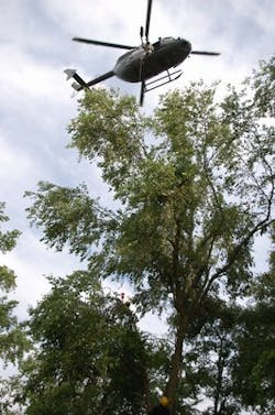 Dsc 10548590 Dsc 10548590