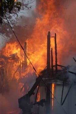 Dsc 10548051 Dsc 10548051