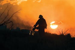 Nevada Division of Forestry Firefighter Matt House back burns fuels on the east flank of the Suzie Fire on Aug. 4. Nevada Division of Forestry Firefighter Matt House back burns fuels on the east flank of the Suzie Fire on Aug. 4.