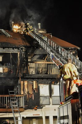 Hillsborough 10547583